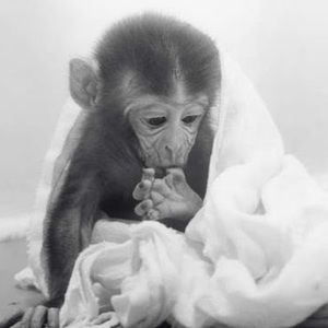 Meet your Posher, Alexys